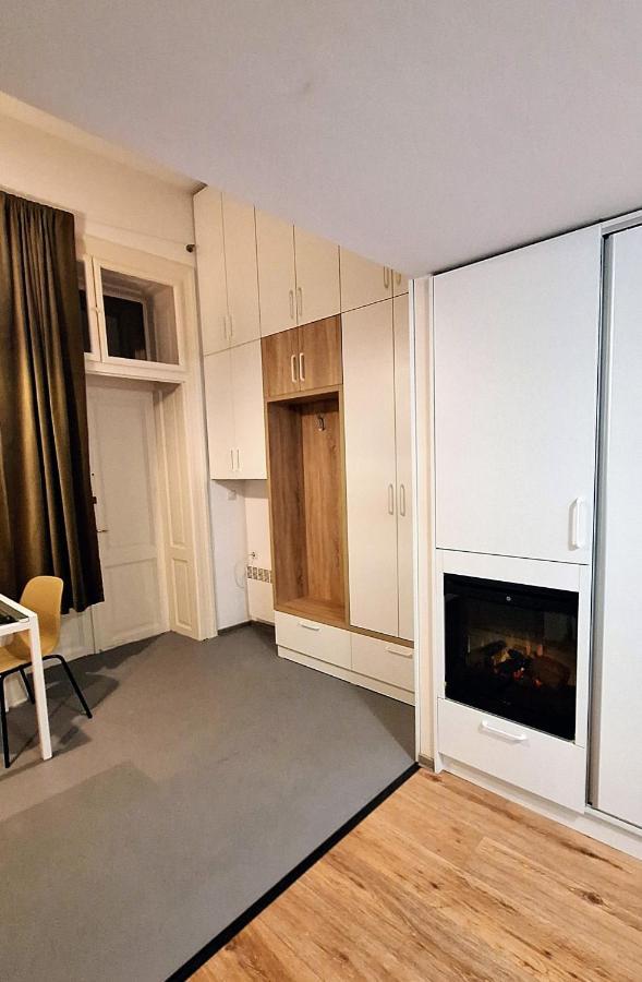 Swanhome - Central Apartment クルージュ＝ナポカ エクステリア 写真
