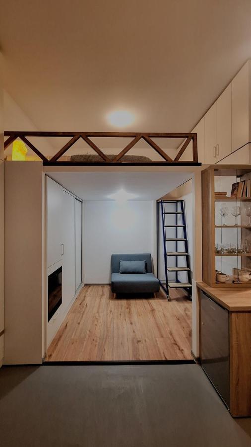 Swanhome - Central Apartment クルージュ＝ナポカ エクステリア 写真