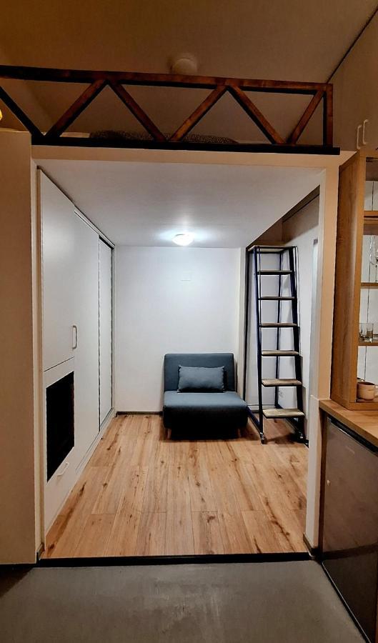 Swanhome - Central Apartment クルージュ＝ナポカ エクステリア 写真