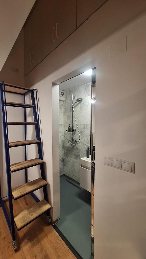 Swanhome - Central Apartment クルージュ＝ナポカ エクステリア 写真